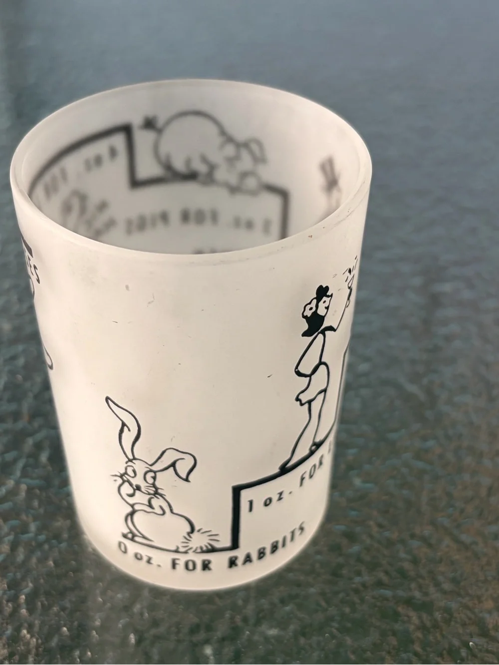 Vintage Style Frosted Shot Glass with Black Graphics